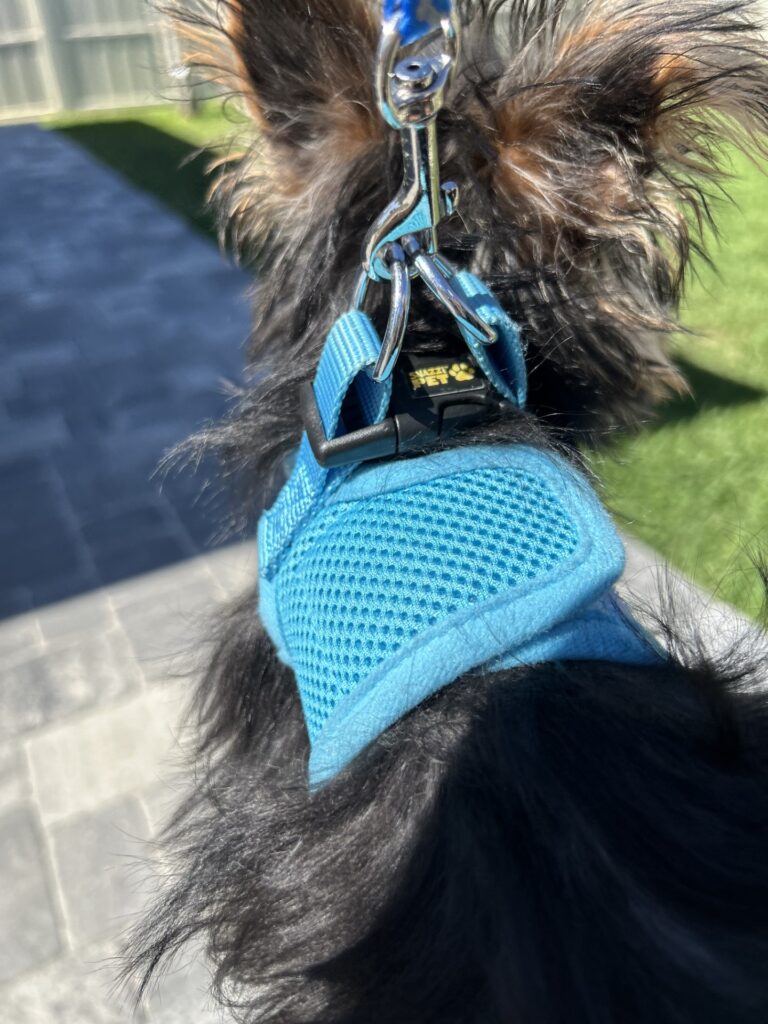 Snazzi Pet Dog Harness Remi Malyon